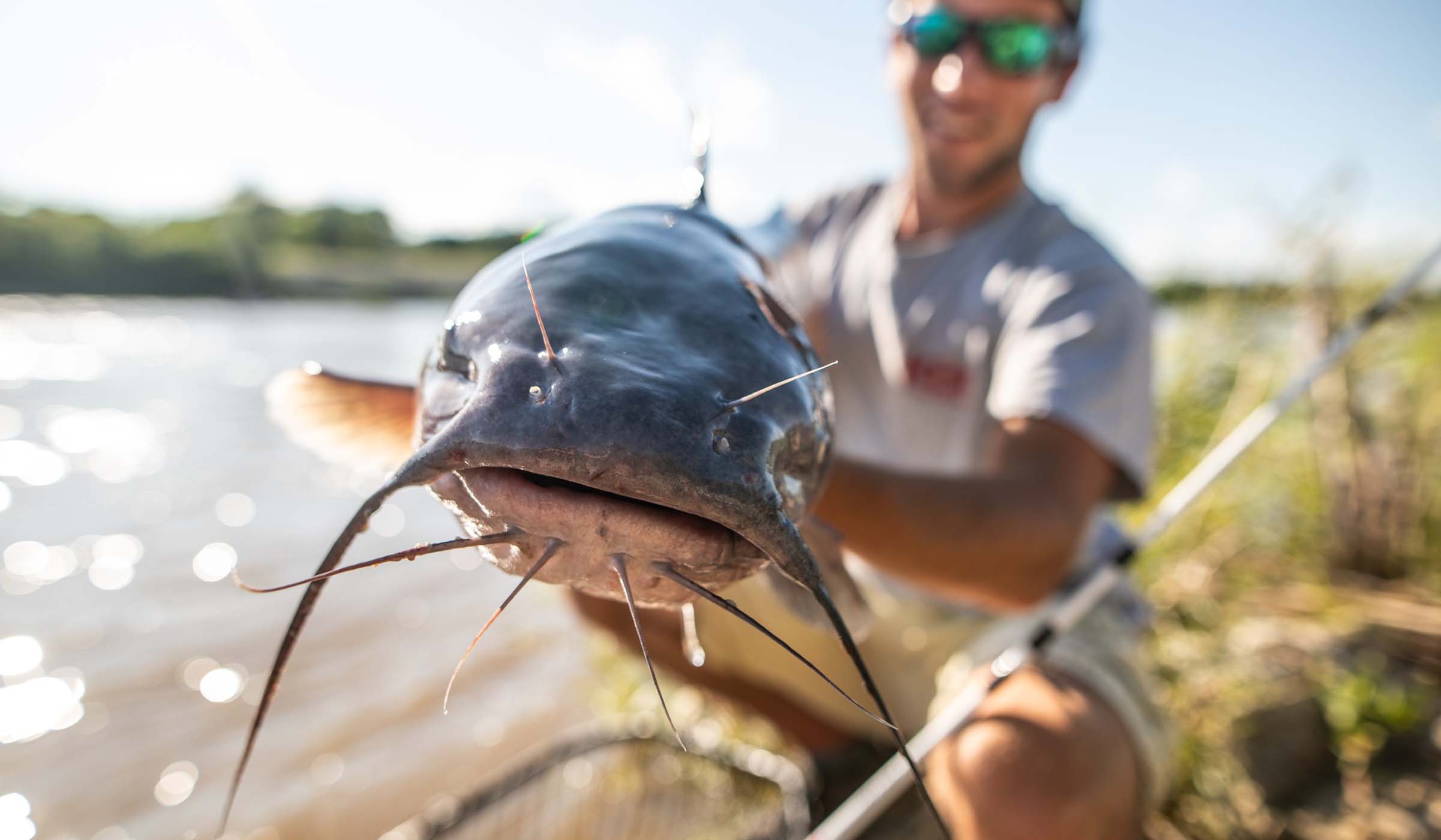 Top 5 Best 8ft Catfish Rods for Big Catches in 2024