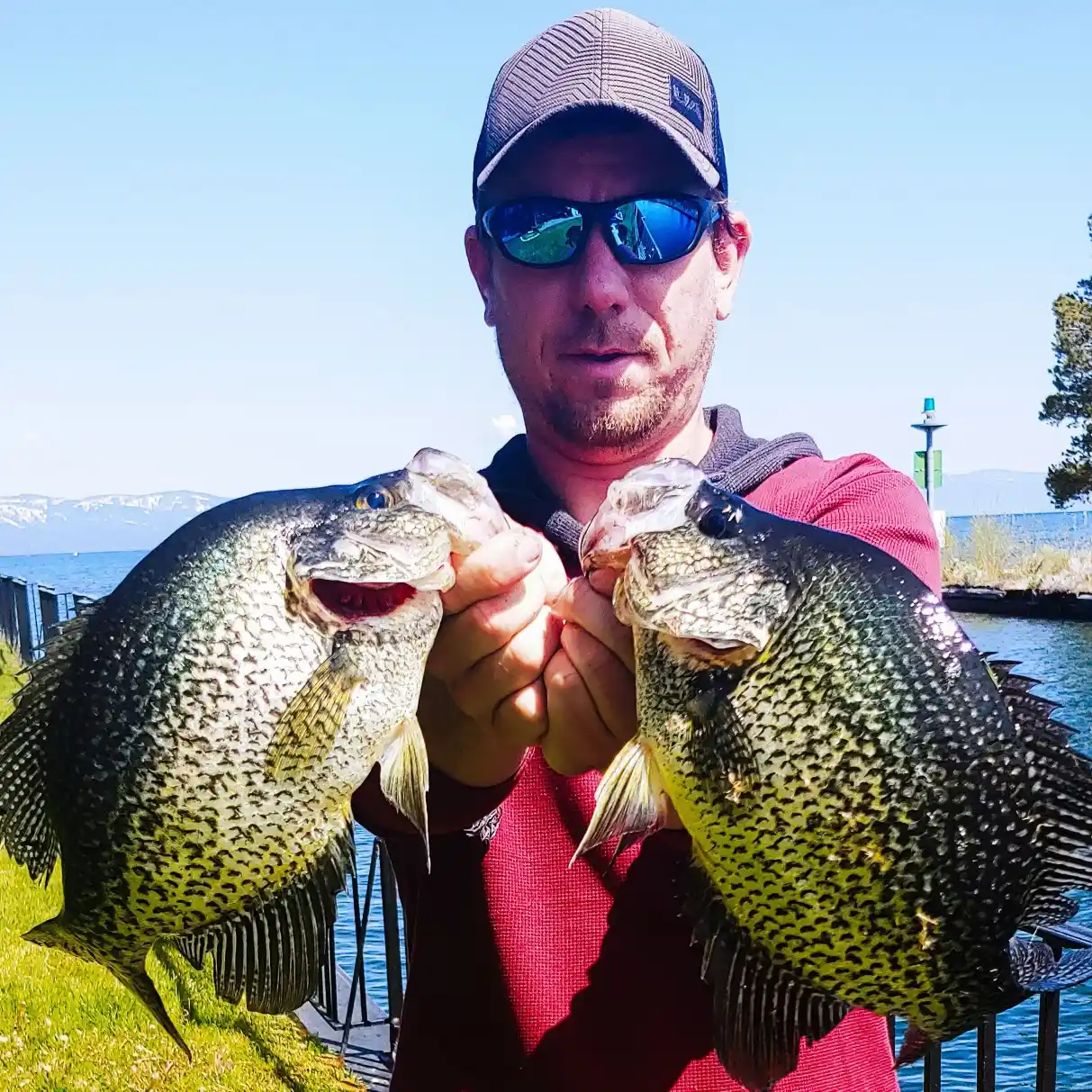 Your Go-To Lake Tahoe Fishing Report for Todays Best Catches