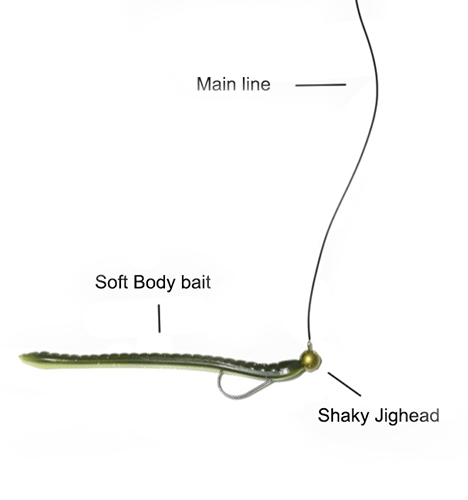 When and Where to Use a Shaky Head Lure Effectively