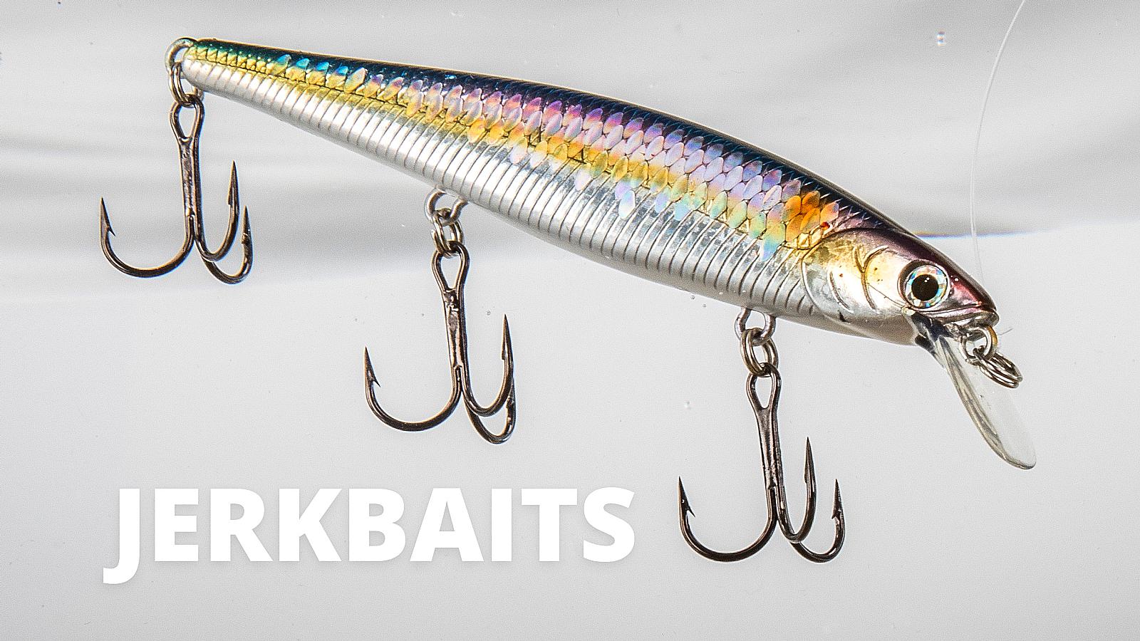 Best Jerk Baits for Bass: Colors and Sizes That Work