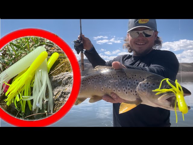 Unlocking the Secrets: Best Lures for Rainbow Trout in River Fishing