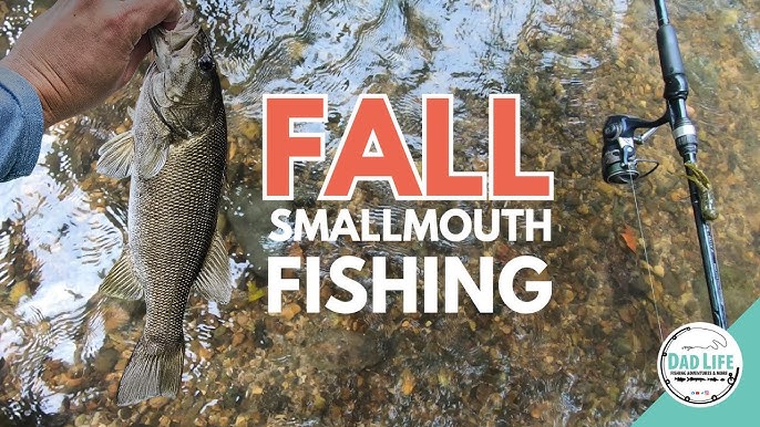 Fall River Smallmouth Fishing: Where to Go and What to Use