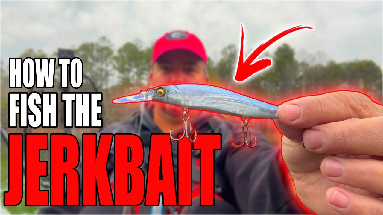 Jerkbait for Bass: The Ultimate Guide for Beginners