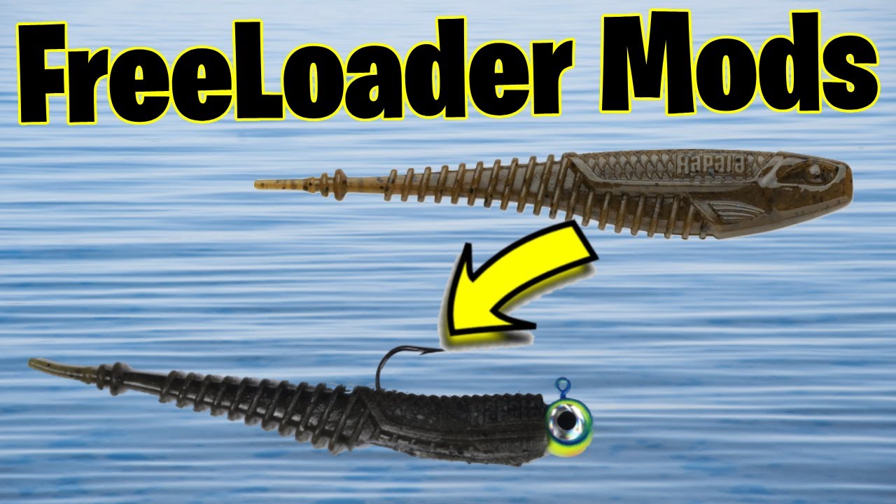 How to Use Freeloader Fishing Bait Like a Pro Angler