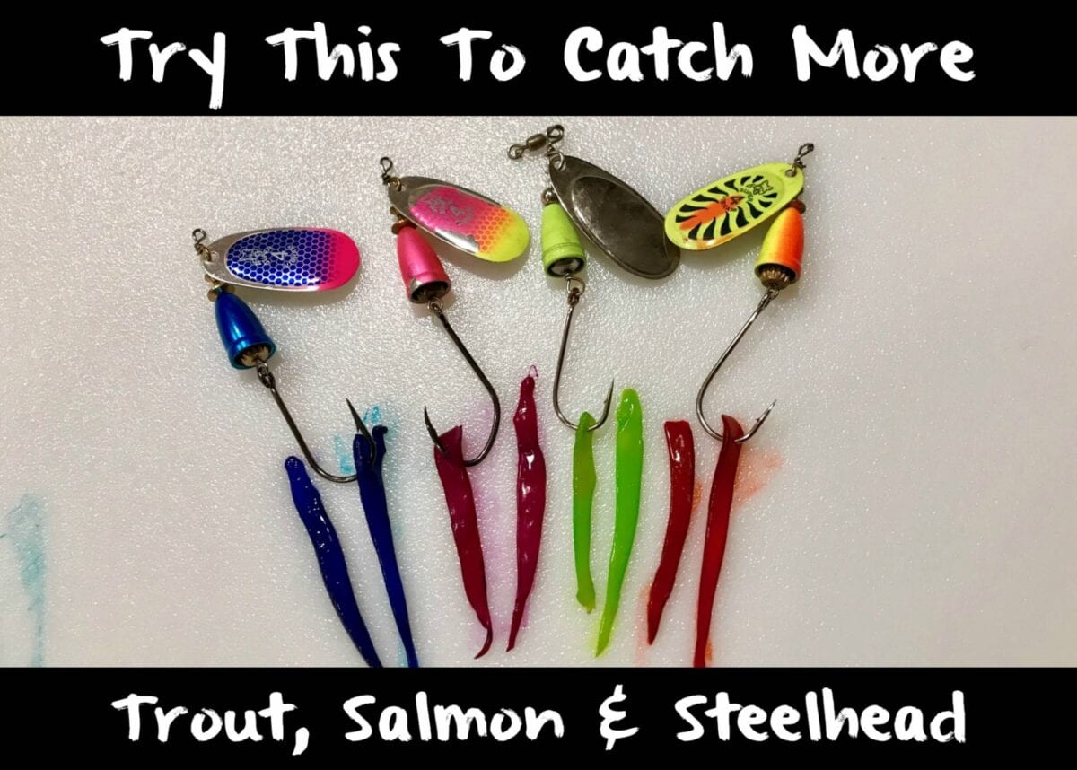 Shore Fishing for Salmon? These Lures Will Get You Bites