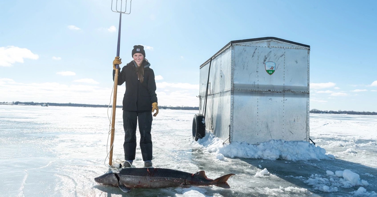 Lake Winnebago Fishing Report: Ice Conditions and Fish Activity