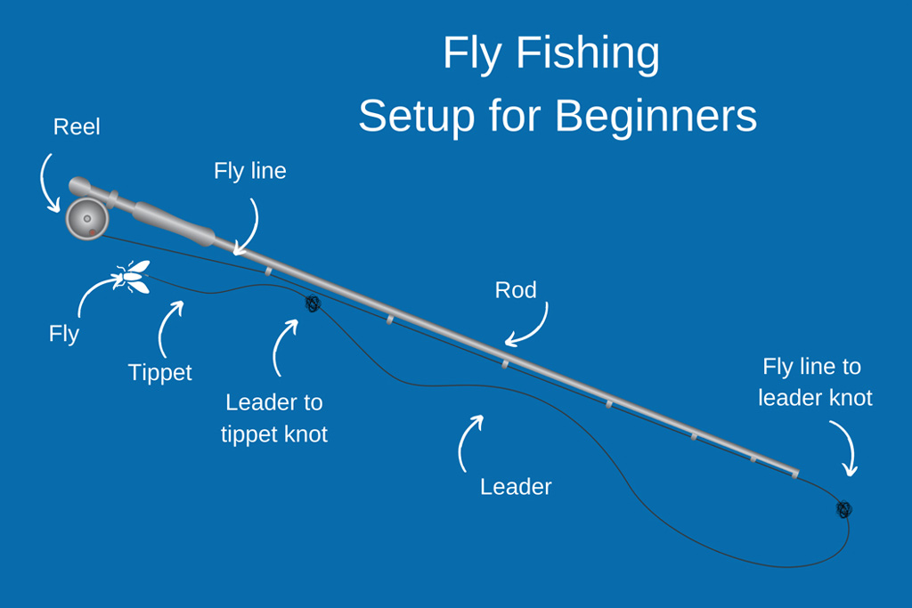 Beginner Fly Fishing Setup: What Gear Do You Really Need?