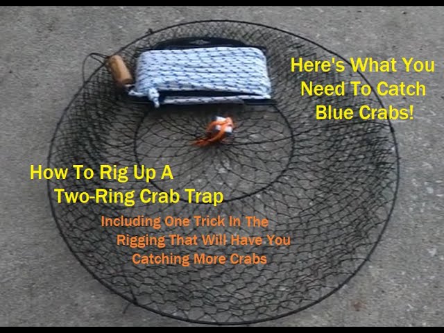 Maximize Your Crabbing Success with Effective Ring Traps