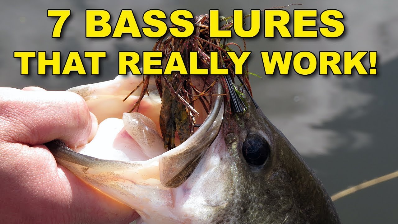 Catch More Bass: Best Fishing Gear You Should Have