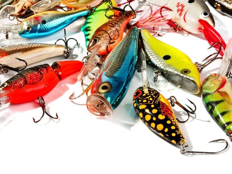 Catch More Bass: Best Fishing Gear You Should Have