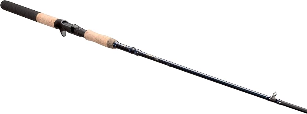 Looking for a New Rod? Check Out the Defy 13 Fishing Rod