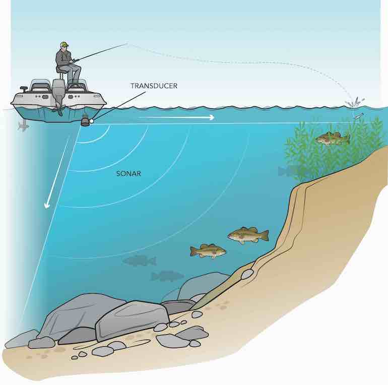 Top Tricks: How Bass Spawning Water Temp Affects Your Fishing