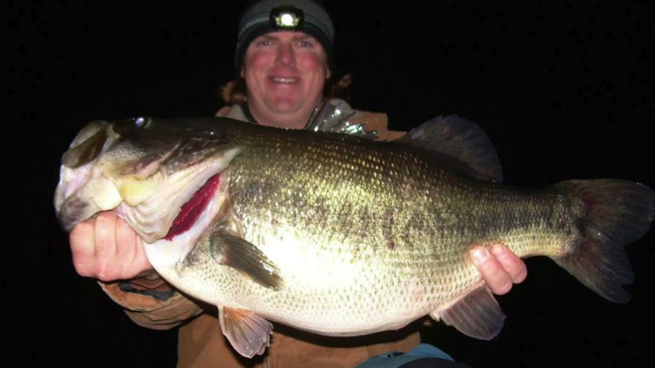 Unlock the Secrets of Summer Night Bass Fishing Today