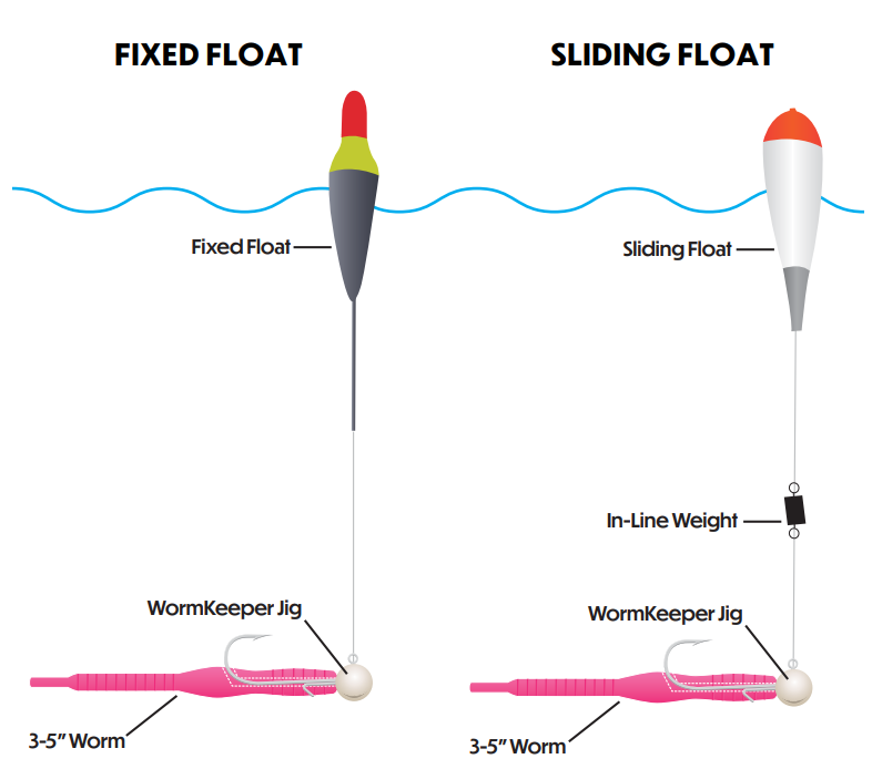 Choosing the Best Rig for Live Worm Fishing Like a Pro