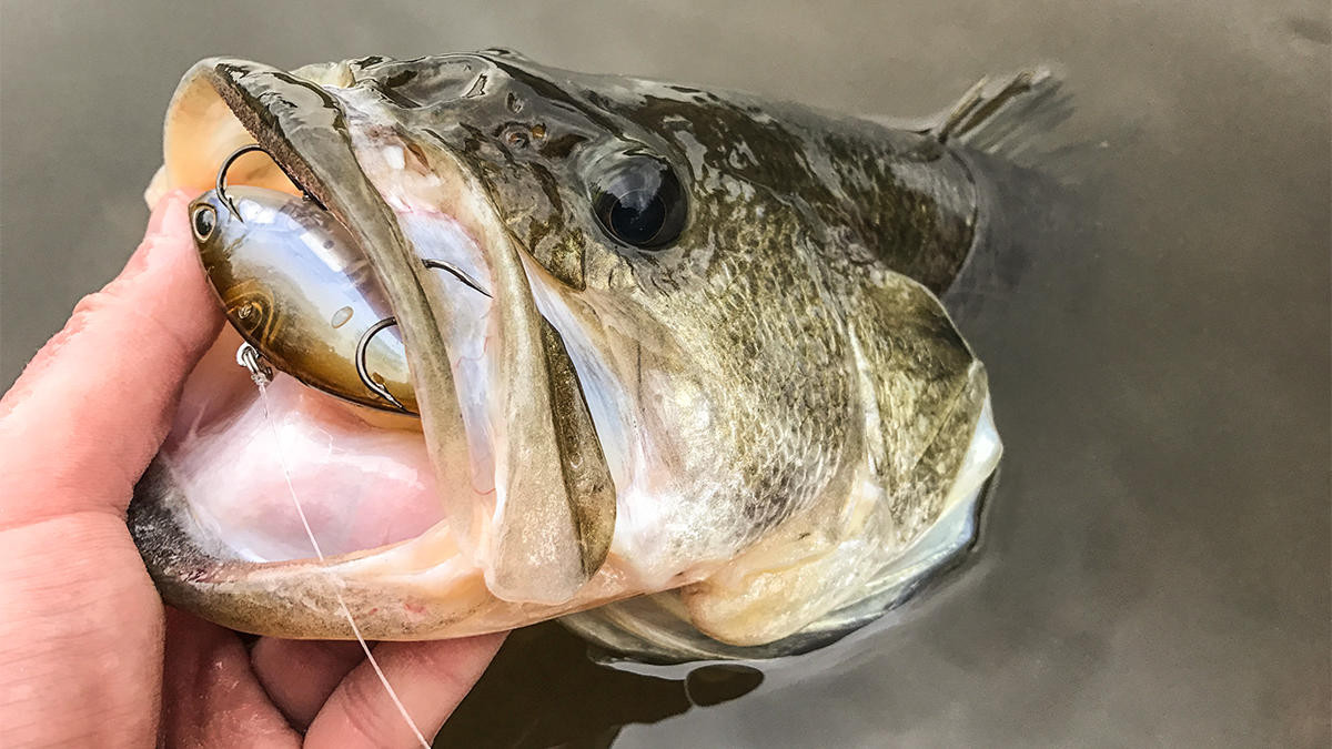 Cold Front Bass Fishing Tactics for Catching Largemouth