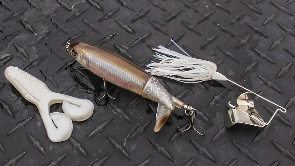 Best Lures and Times for After Rain Fishing Success