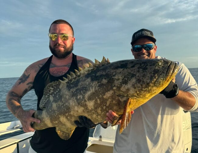 Latest Clearwater Florida Fishing Report: Inshore and Offshore Action