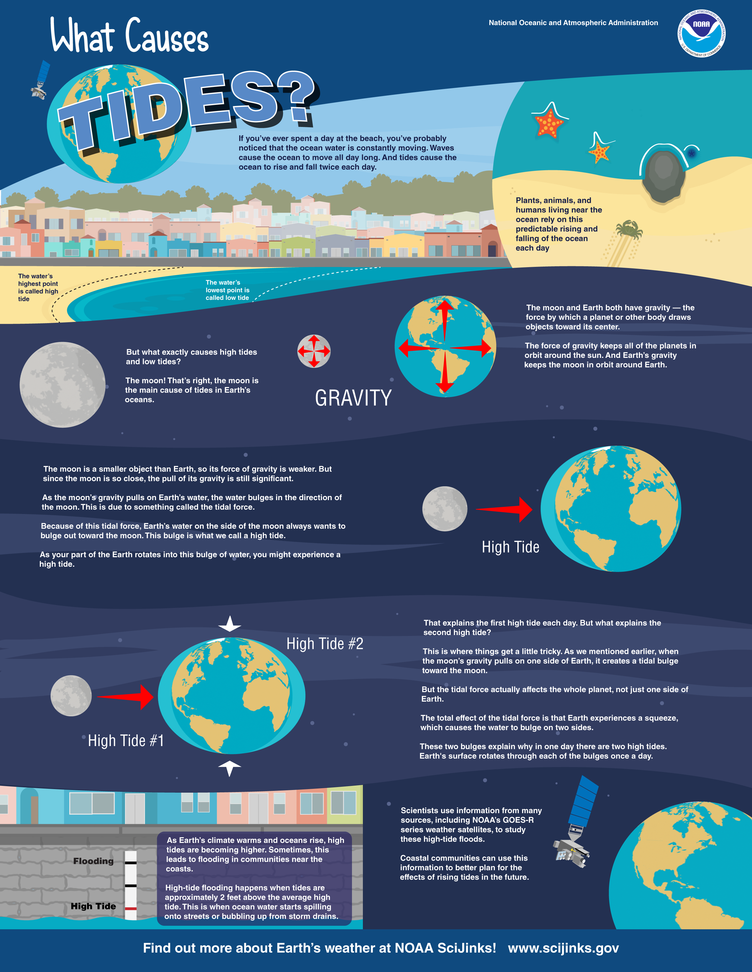 Understanding Siuslaw Tides: A Simple Guide for Everyone