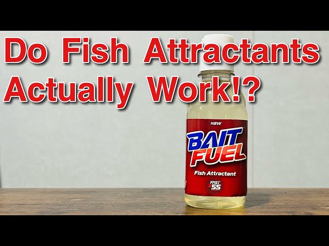 Bait Fuel Fish Attractant: Does It Really Work?