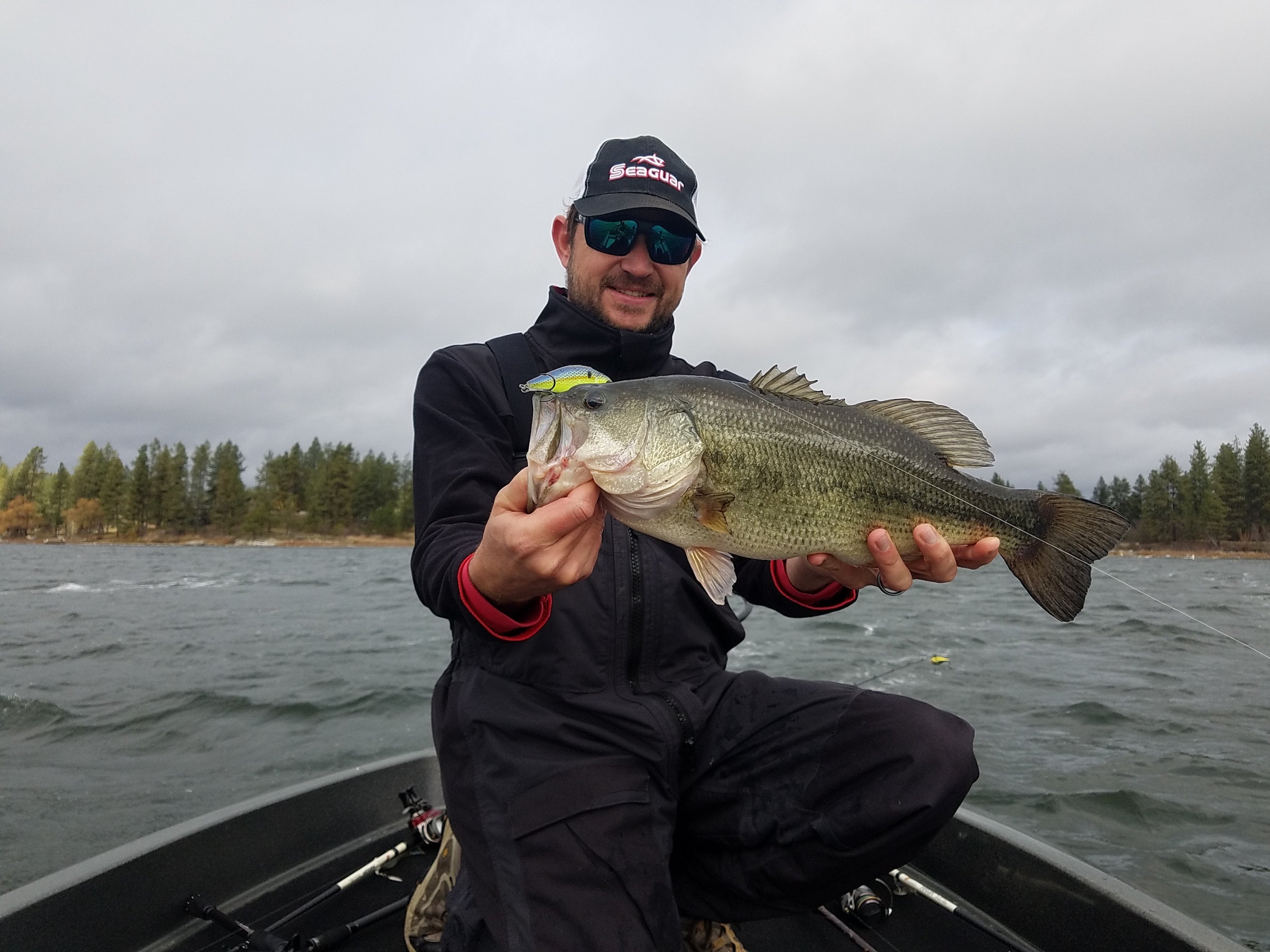 Bass Fishing Windy Points and Coves: Where to Find the Big Ones