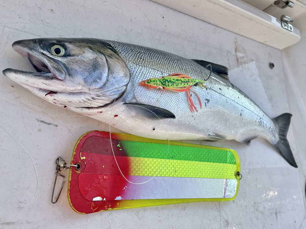 Shore Fishing for Salmon? These Lures Will Get You Bites