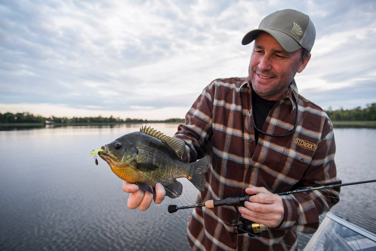 St Croix Panfish Elite Rods: The Ultimate Panfish Angling Experience