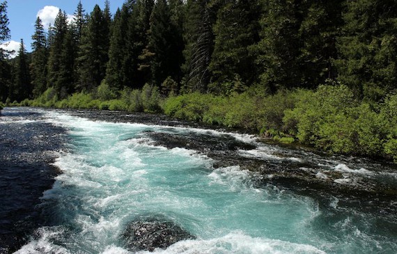 Discover the Magic of Wizard Falls Fish Hatchery Camp Sherman OR