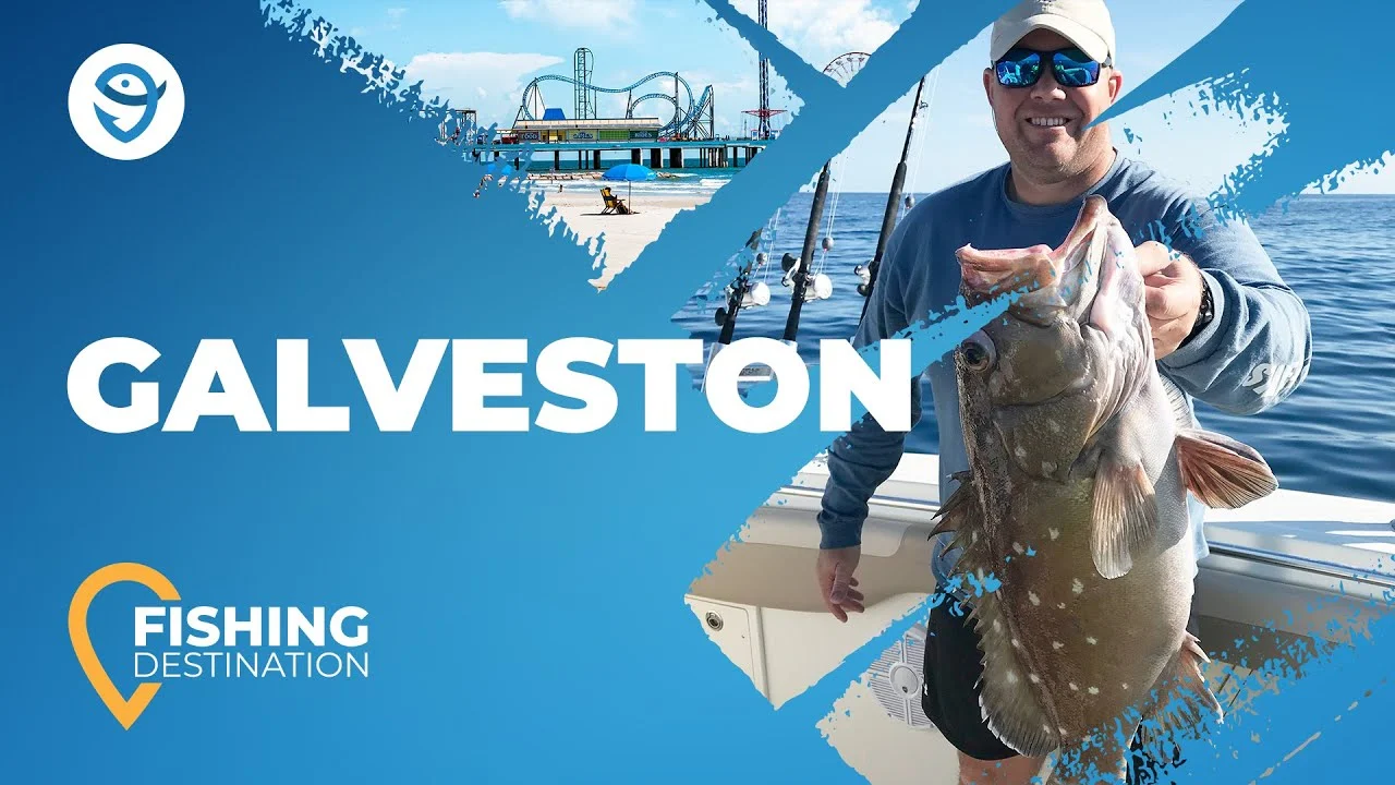 Unlocking Galveston Bay Fishing: Expert Report and Insights