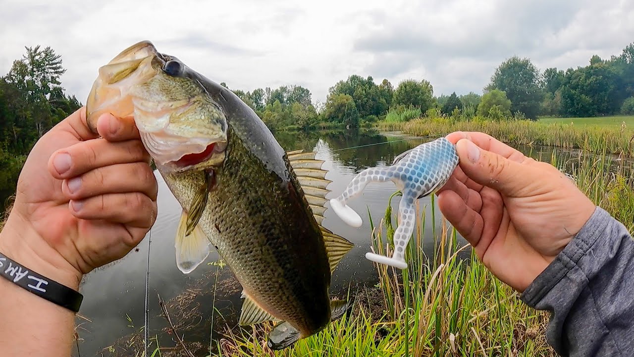 Pond Bass Fishing in the Fall: How to Catch More Fish