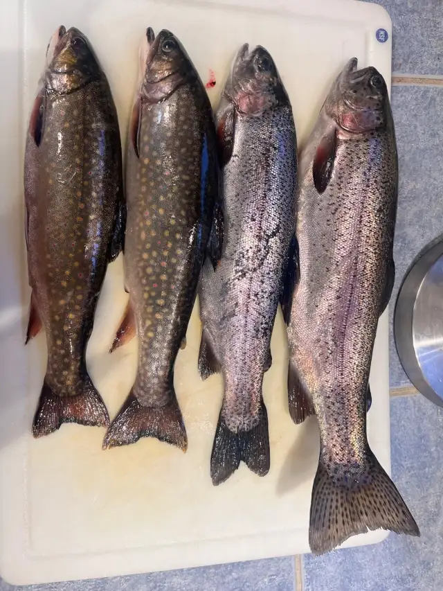 Hackberry LA Fishing Report: Hot Spots and Bite Times