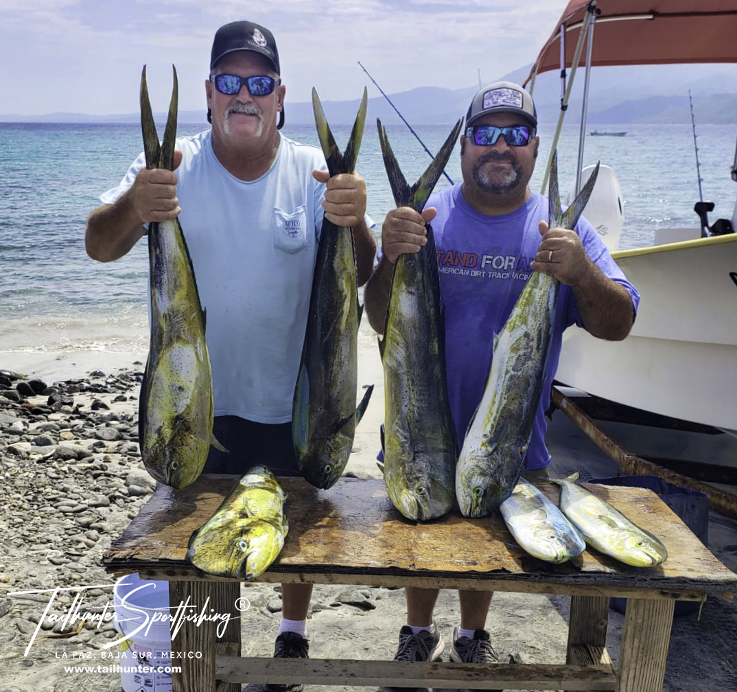 Fishing Report Los Barriles Mexico: Weather, Fish & Photo Updates