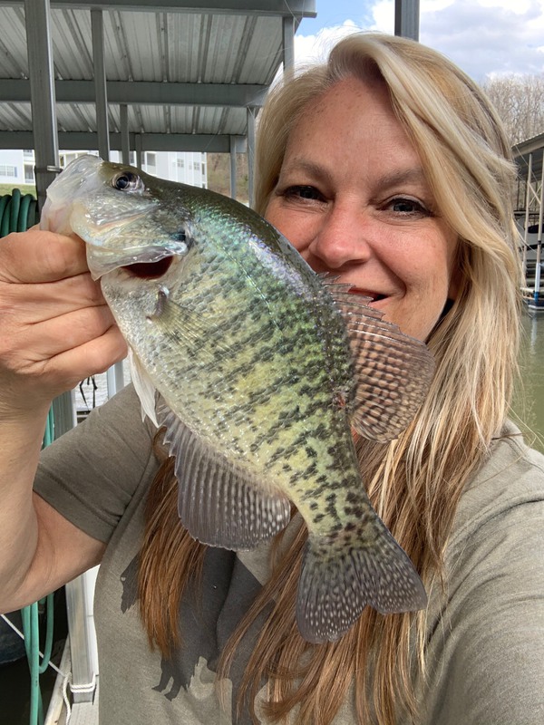 Lake of the Ozarks Fishing Report Today: Hot Spots and Tips