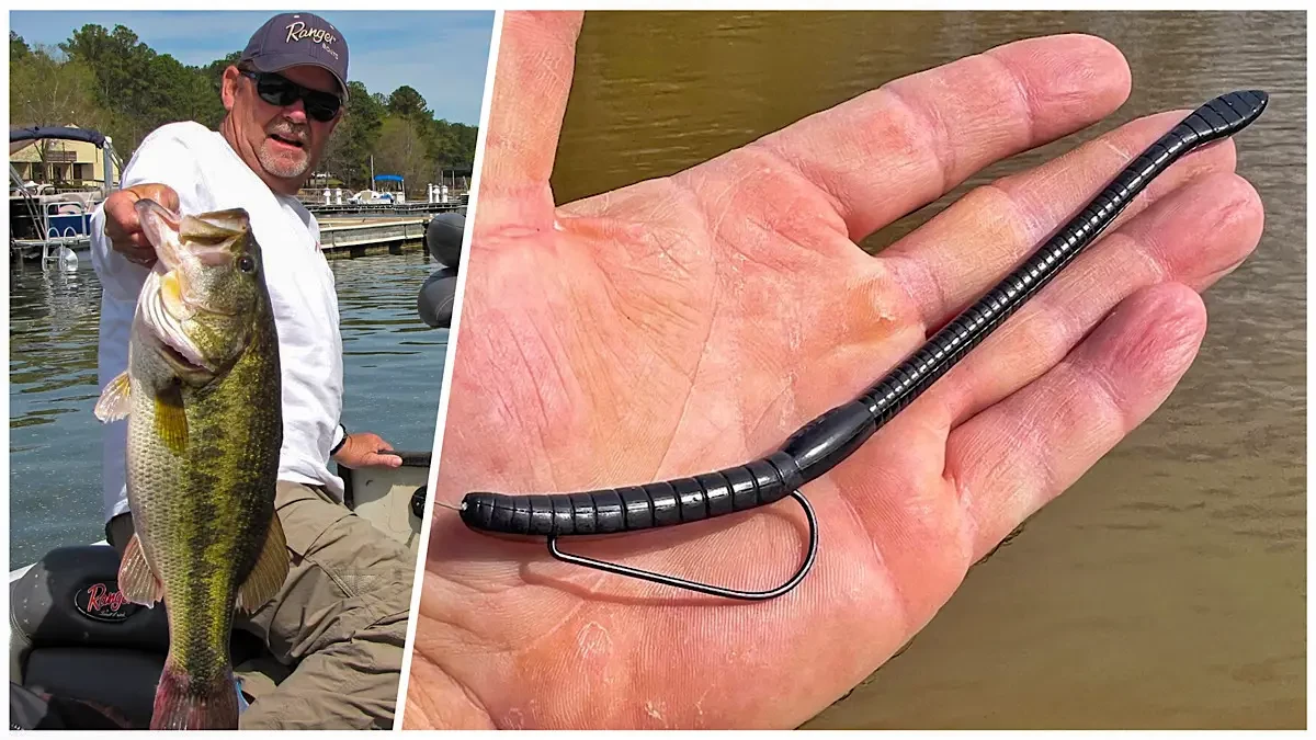 Worm Lure Fishing: Best Baits and How to Use Them