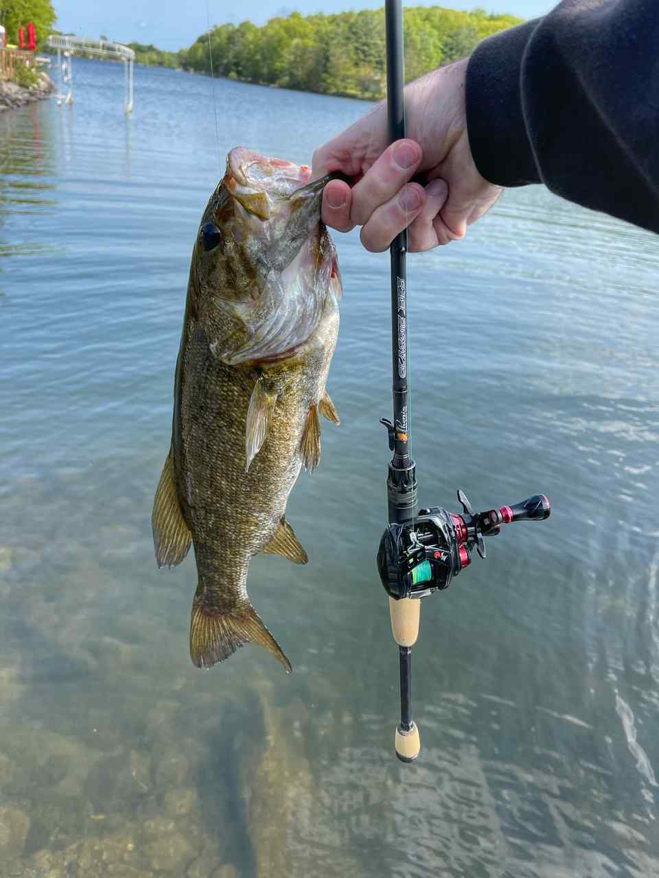 BFS Rods for Bass: A Beginners Guide to Getting Started