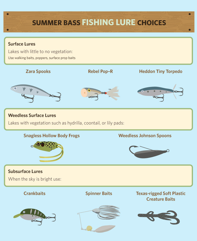 Best Lures for Early Summer Bass Fishing: A Quick Guide