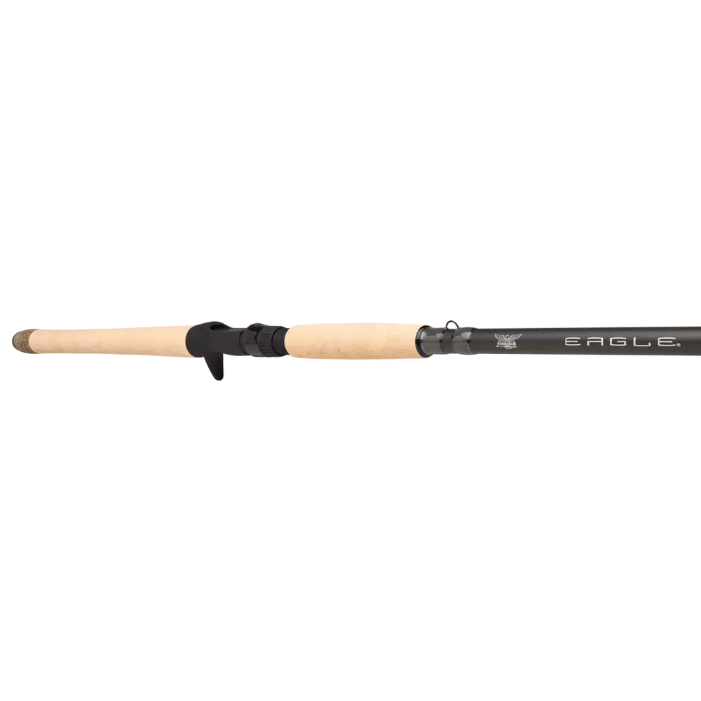 Looking for a New Rod? Check Out the Fenwick Eagle Baitcasting