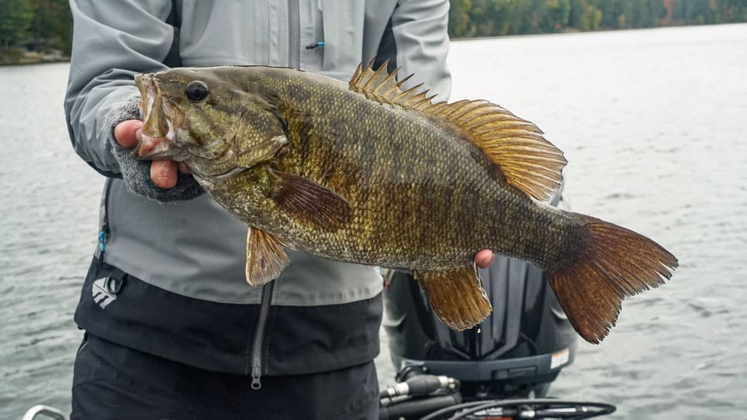 Fall River Smallmouth Fishing: Where to Go and What to Use