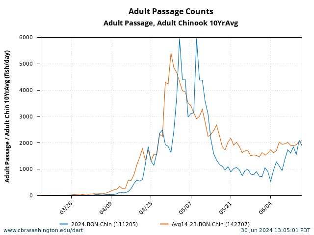 Bonneville Dam Salmon Count 2024: Daily Updates and Historical Data