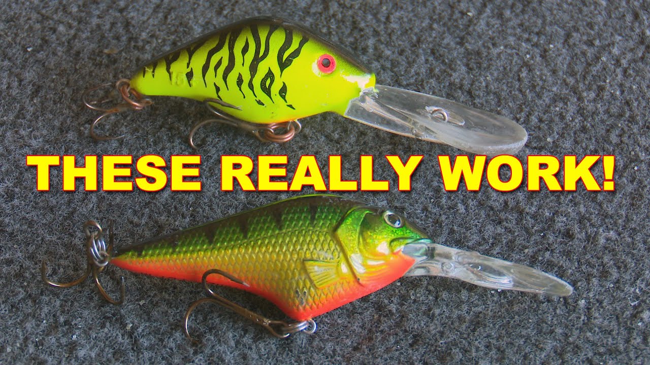 Beginners Guide: How to Retrieve a Crankbait Effectively