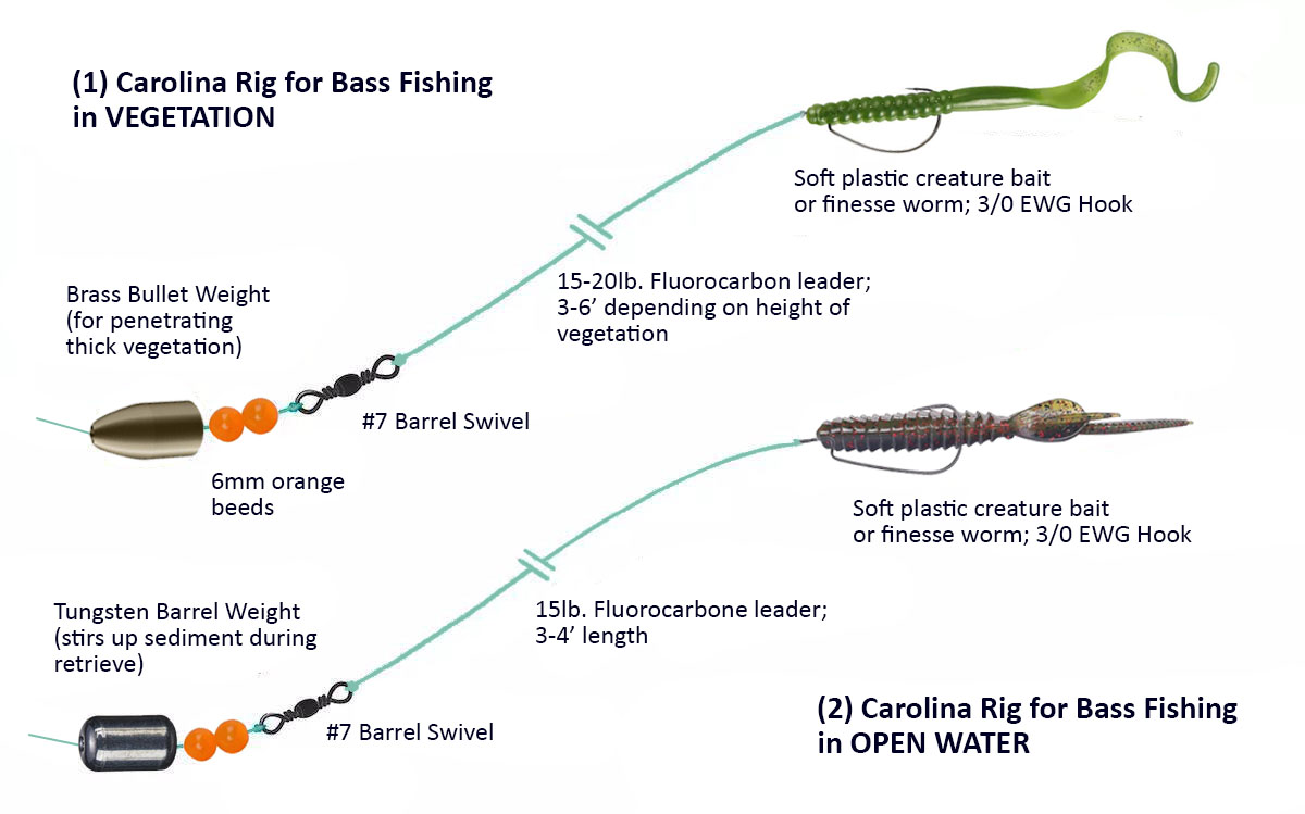 Freshwater Bass Rigs: Simple Setups for Catching More Fish