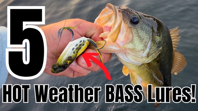 Best Lure for Bass in Summer: Top Picks for Hot Weather Action