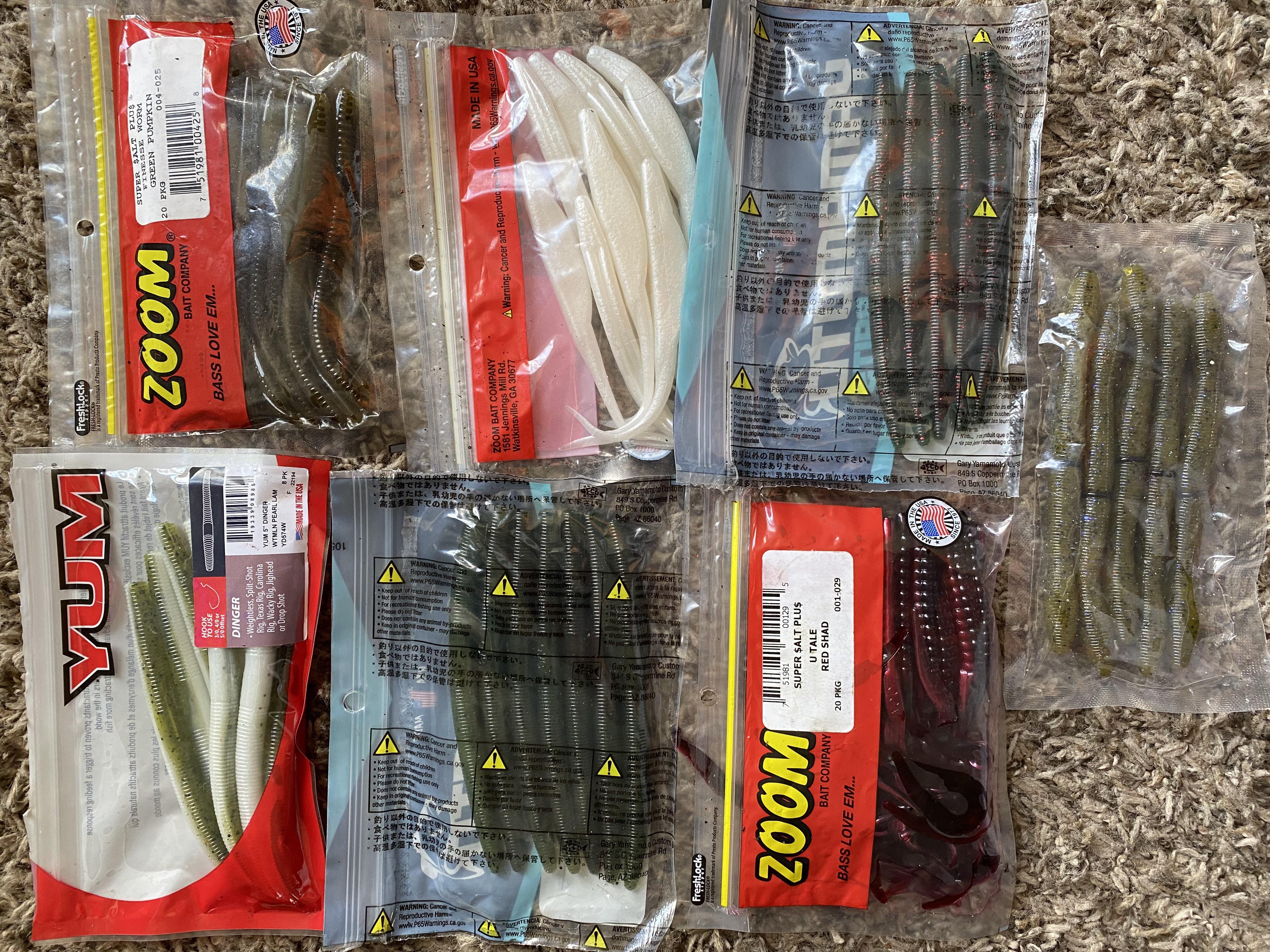 Best Color Worm for Bass: Simple Choices for Big Catches