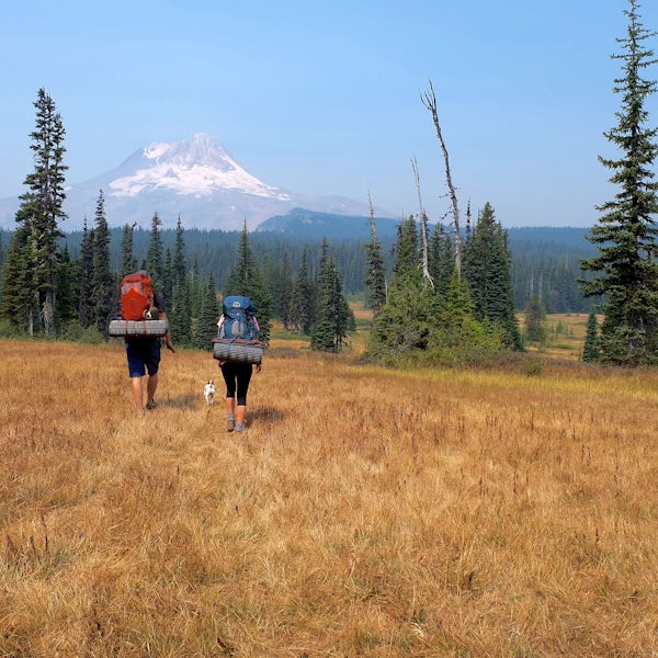 Discover Maupin Oregon: Best Campgrounds for Families and Friends