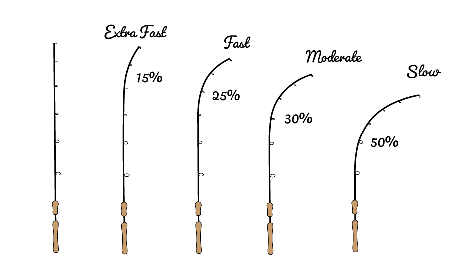 Understanding Moderate Action Spinning Rods: A Comprehensive Guide