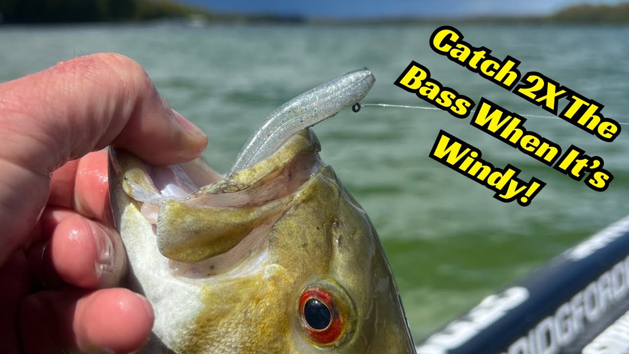 Do Fish Bite When Its Windy? Simple Tips for Windy Day Fishing