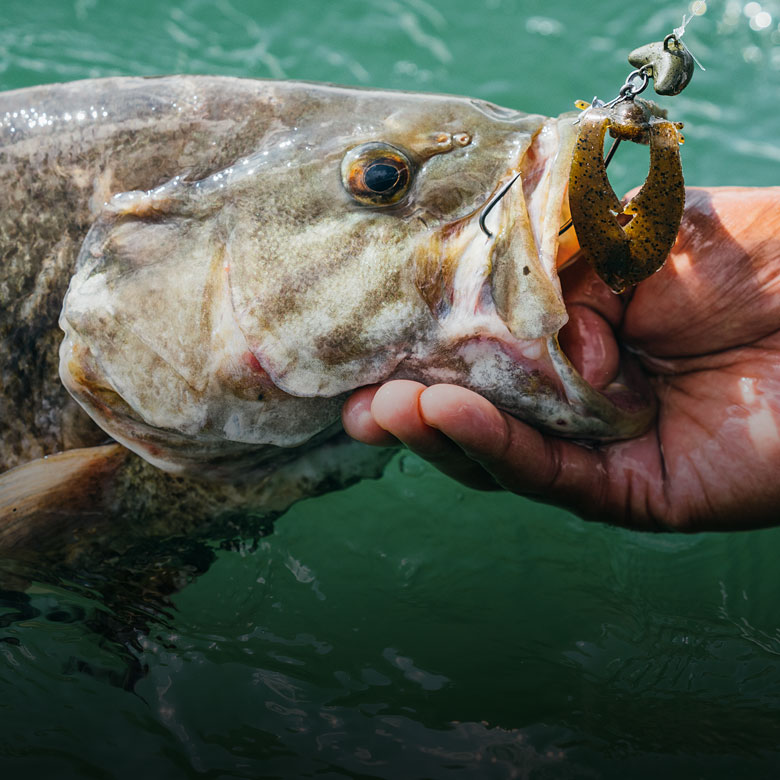 Cold Front Bass Fishing Tactics for Catching Largemouth