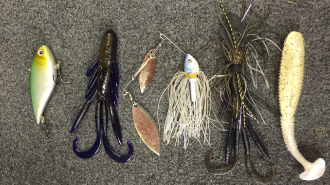 Best March Bass Fishing Lures to Hook More Fish This Spring