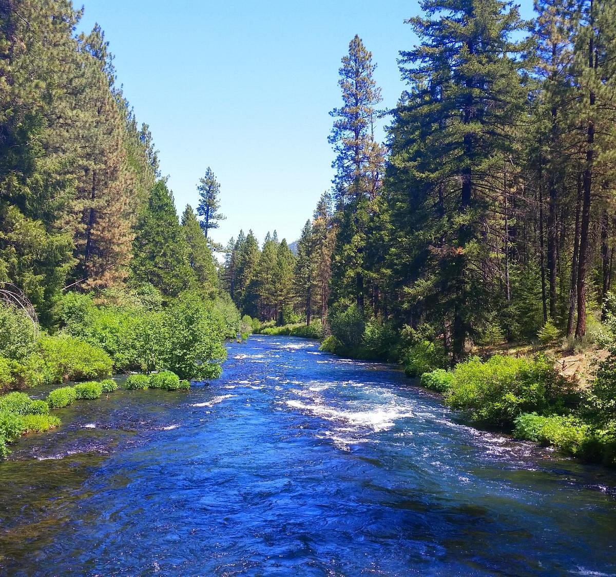 Discover the Magic of Wizard Falls Fish Hatchery Camp Sherman OR