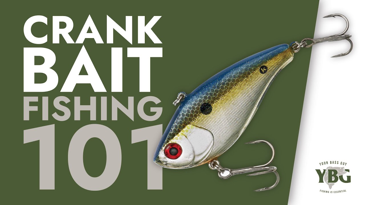 Beginners Guide: How to Retrieve a Crankbait Effectively