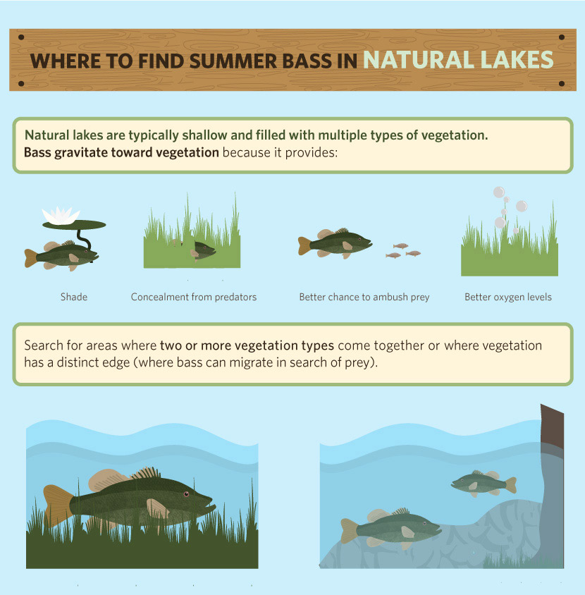 How to Find Bass After a Storm: The Best Spots